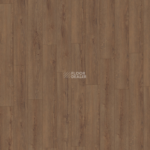 Kronotex Exquisit 8мм d41172 Дуб Горизонт кофе фото 6 | FLOORDEALER